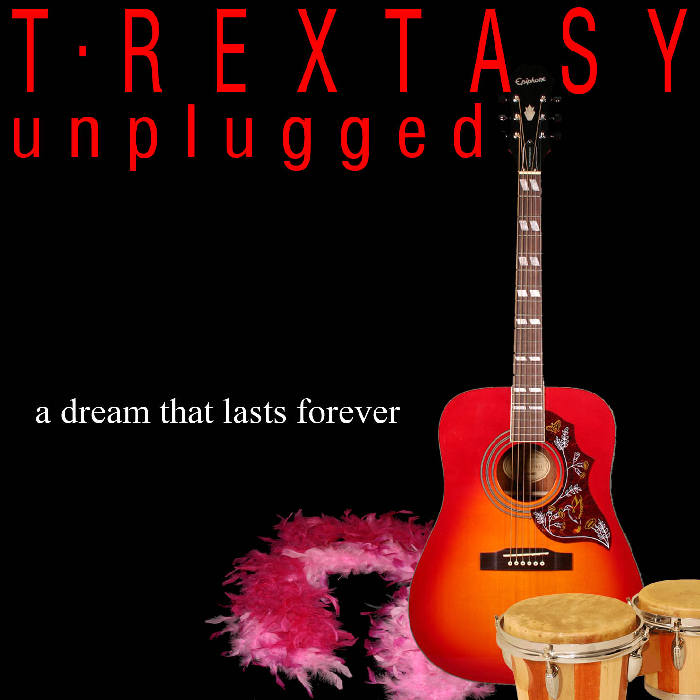T.Rextasy - Unplugged